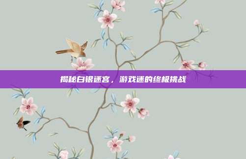 揭秘白银迷宫，游戏迷的终极挑战