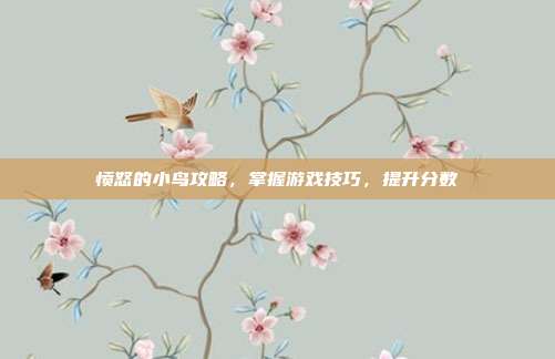 愤怒的小鸟攻略,掌握游戏技巧,提升分数