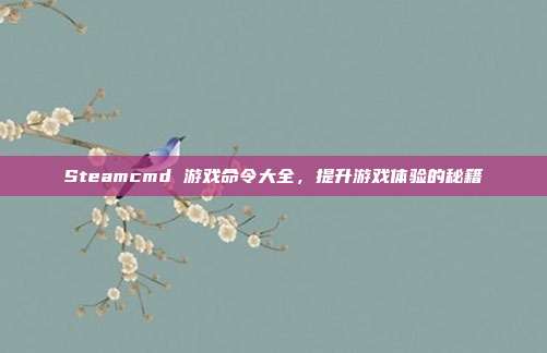 Steamcmd 游戏命令大全,提升游戏体验的秘籍
