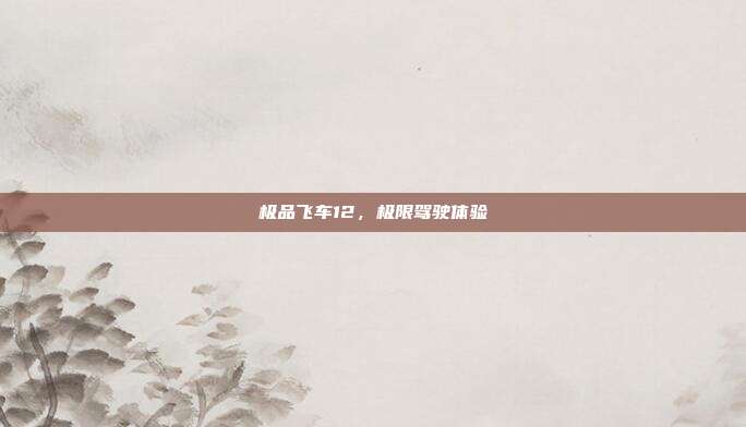 极品飞车12，极限驾驶体验