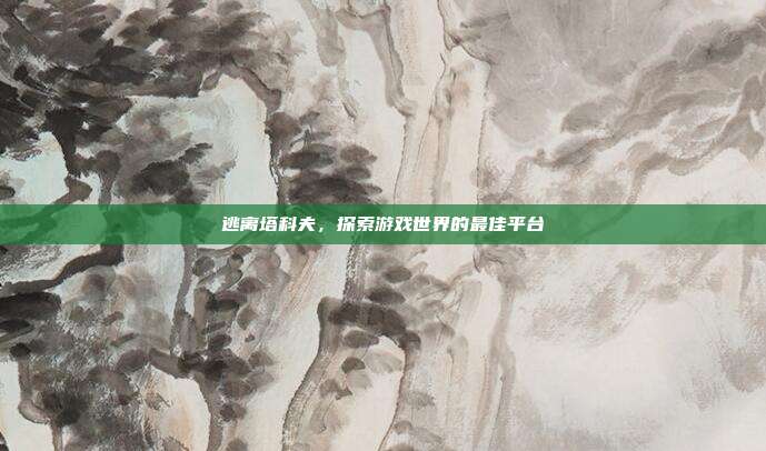 逃离塔科夫,探索游戏世界的最佳平台