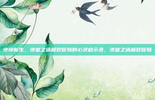 绝境新生，绝望之塔极致冒险的心灵启示录，绝望之塔极致冒险