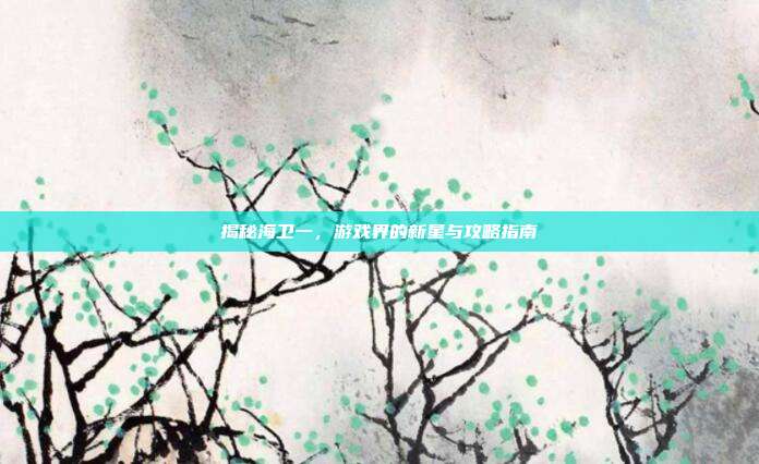 揭秘海卫一，游戏界的新星与攻略指南
