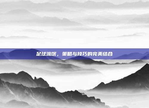 足球流氓，策略与技巧的完美结合