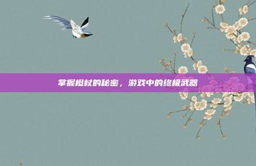 掌握橙杖的秘密,游戏中的终极武器