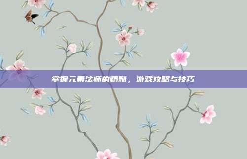 掌握元素法师的精髓，游戏攻略与技巧