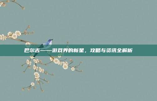 巴尔吉——游戏界的新星，攻略与资讯全解析
