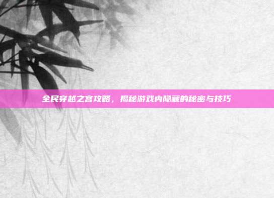 全民穿越之宫攻略,揭秘游戏内隐藏的秘密与技巧