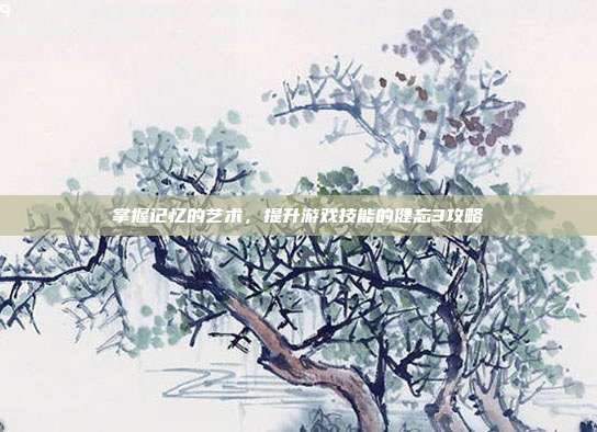 掌握记忆的艺术,提升游戏技能的健忘3攻略