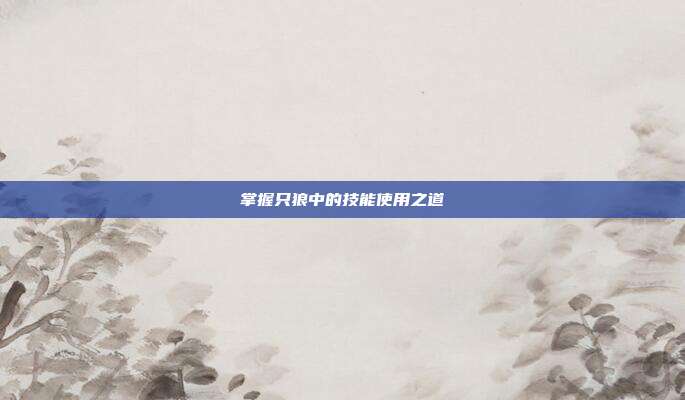 掌握只狼中的技能使用之道