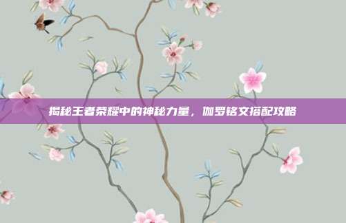 揭秘王者荣耀中的神秘力量，伽罗铭文搭配攻略