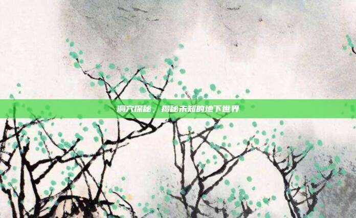 洞穴探秘,揭秘未知的地下世界