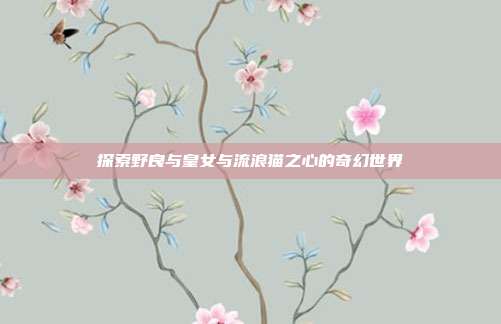 探索野良与皇女与流浪猫之心的奇幻世界