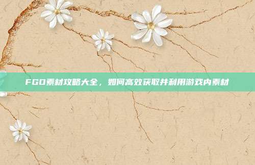 FGO素材攻略大全,如何高效获取并利用游戏内素材