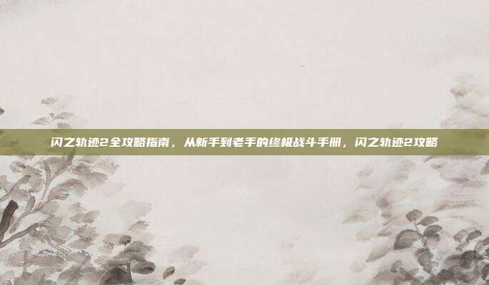 闪之轨迹2全攻略指南,从新手到老手的终极战斗手册,闪之轨迹2攻略