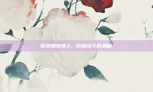探索蜘蛛侠3,终极战斗的奥秘