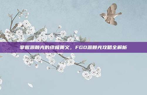 掌握源赖光的终极奥义,FGO源赖光攻略全解析