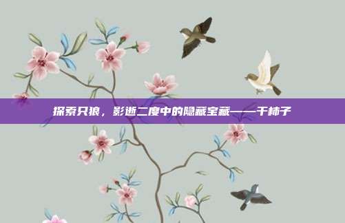 探索只狼,影逝二度中的隐藏宝藏——干柿子