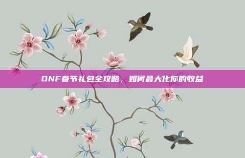 DNF春节礼包全攻略,如何最大化你的收益