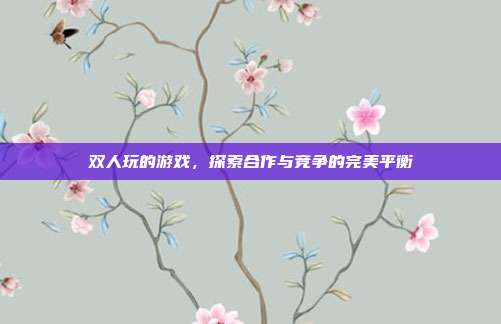 双人玩的游戏，探索合作与竞争的完美平衡