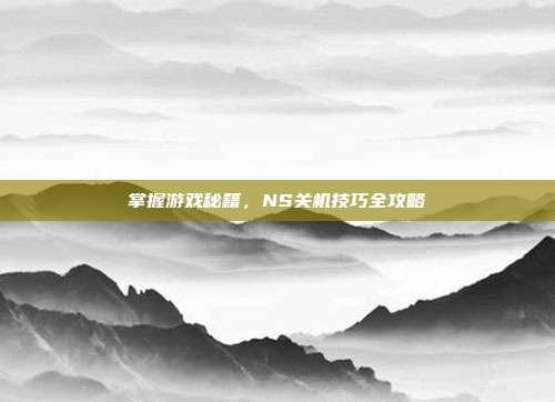 掌握游戏秘籍,NS关机技巧全攻略