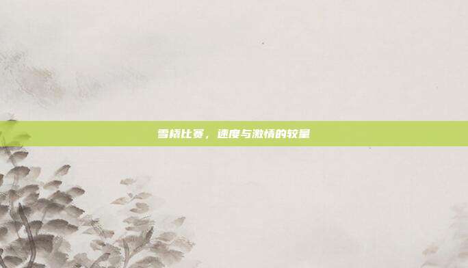 雪橇比赛,速度与激情的较量