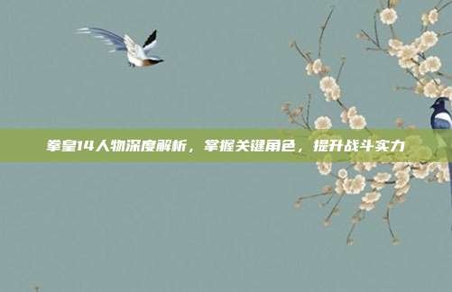 拳皇14人物深度解析,掌握关键角色,提升战斗实力