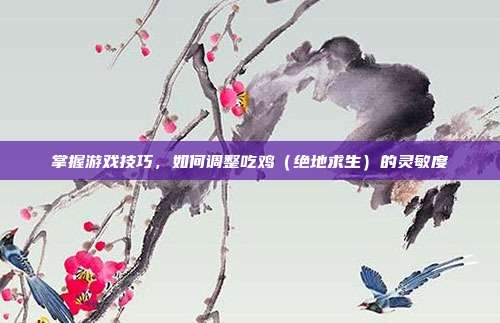 掌握游戏技巧，如何调整吃鸡（绝地求生）的灵敏度
