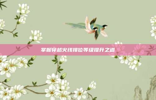 掌握穿越火线排位等级提升之道