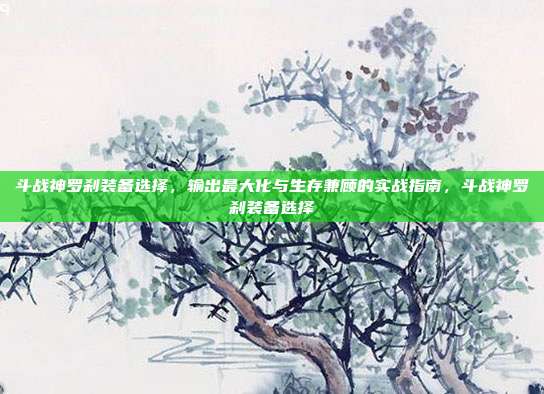 斗战神罗刹装备选择，输出最大化与生存兼顾的实战指南，斗战神罗刹装备选择