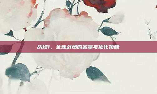 战地1,全球战场的容量与优化策略