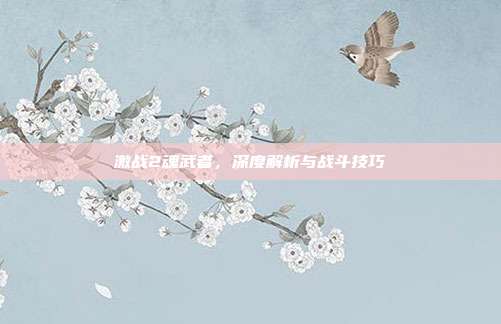 激战2魂武者,深度解析与战斗技巧