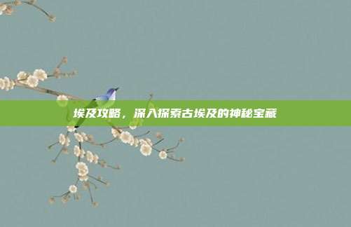 埃及攻略,深入探索古埃及的神秘宝藏