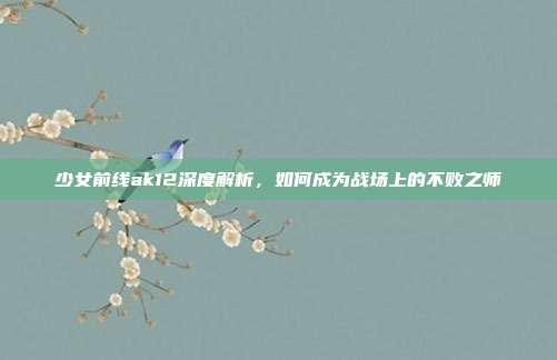 少女前线ak12深度解析，如何成为战场上的不败之师