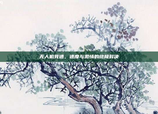 无人机竞速，速度与激情的终极对决