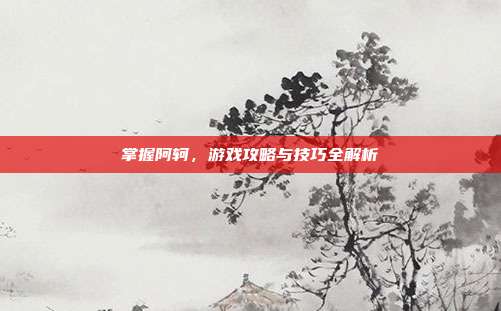 掌握阿轲,游戏攻略与技巧全解析