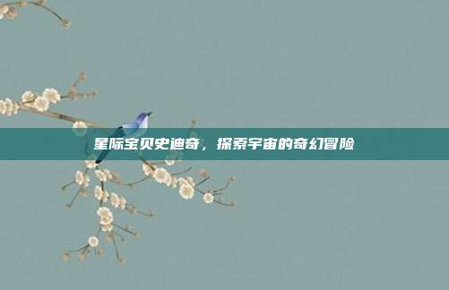 星际宝贝史迪奇，探索宇宙的奇幻冒险