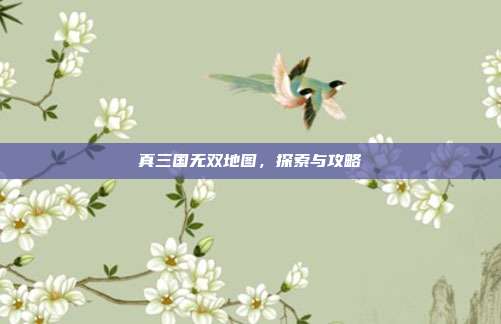 真三国无双地图，探索与攻略