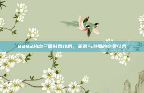 2393热血三国游戏攻略,策略与激情的完美结合