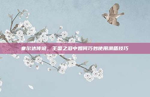 塞尔达传说，王国之泪中如何巧妙使用滑盾技巧
