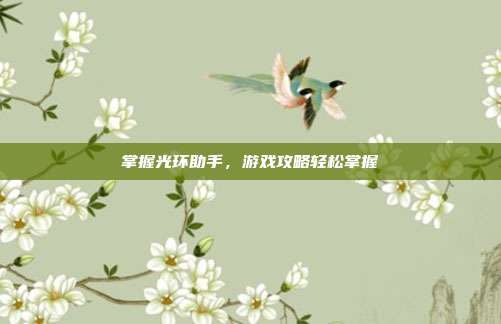 掌握光环助手，游戏攻略轻松掌握