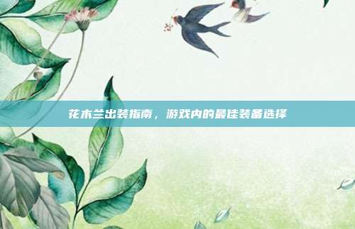 花木兰出装指南，游戏内的最佳装备选择