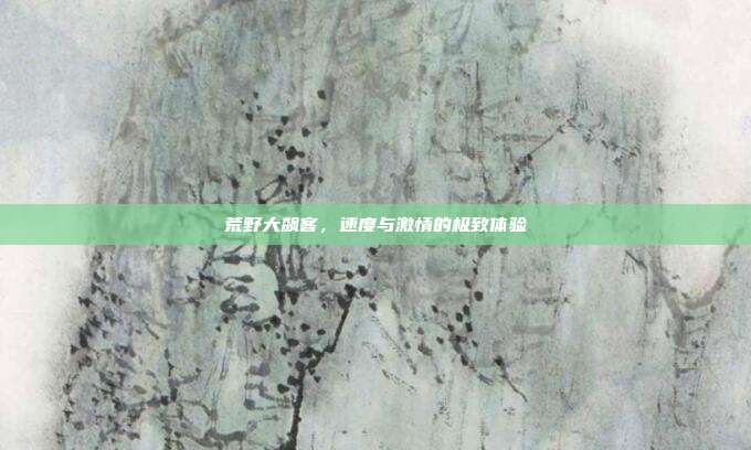 荒野大飙客,速度与激情的极致体验