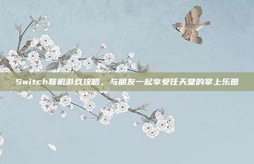 Switch联机游戏攻略,与朋友一起享受任天堂的掌上乐园