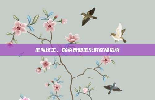 星海坊主，探索未知星系的终极指南