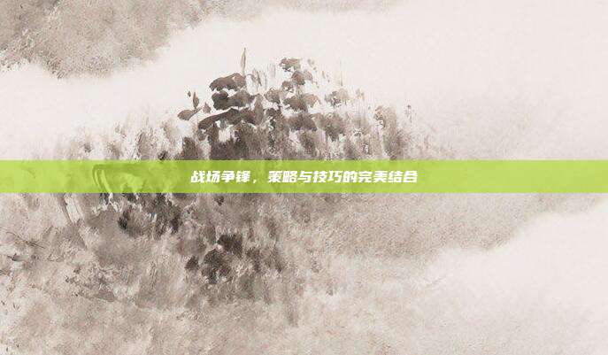 战场争锋,策略与技巧的完美结合