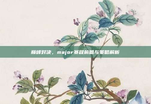巅峰对决,major赛程前瞻与策略解析