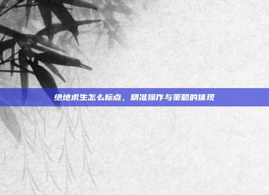 绝地求生怎么标点，精准操作与策略的体现