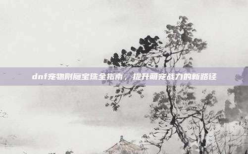 dnf宠物附魔宝珠全指南，提升萌宠战力的新路径
