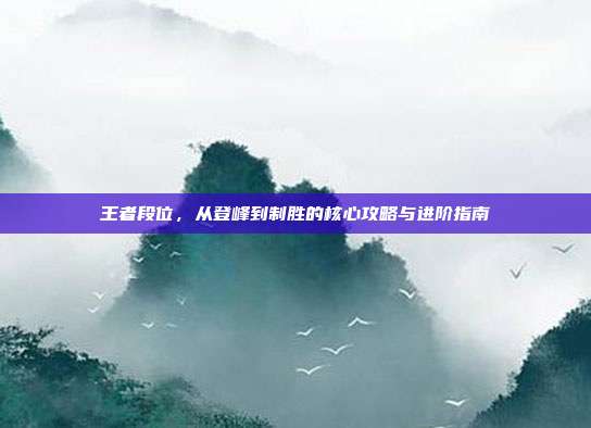 王者段位，从登峰到制胜的核心攻略与进阶指南